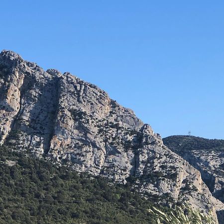 Domaine Mas Terra Bed & Breakfast Saint-Paul-de-Fenouillet Dış mekan fotoğraf