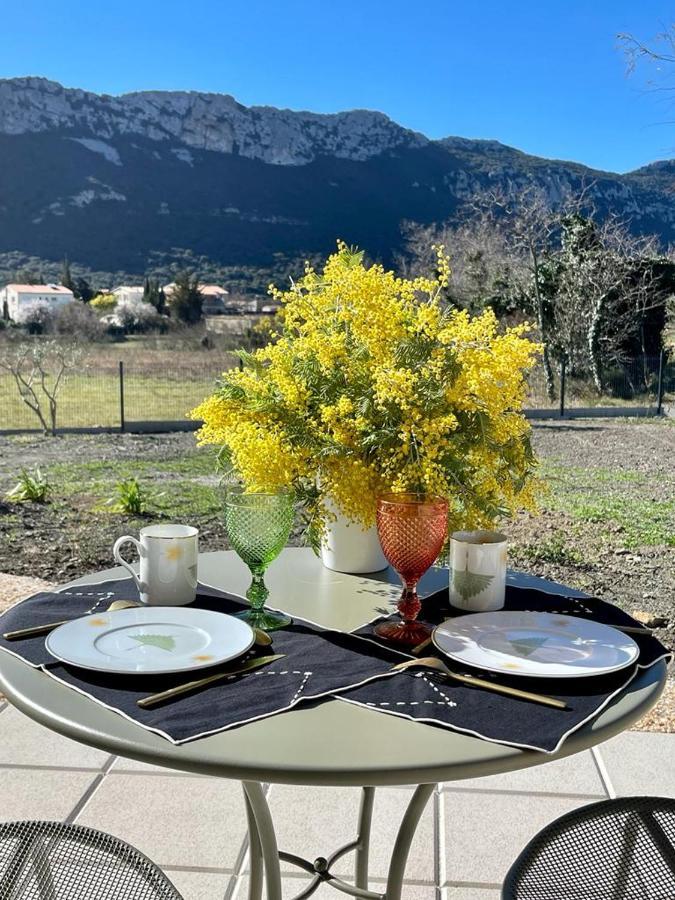 Domaine Mas Terra Bed & Breakfast Saint-Paul-de-Fenouillet Dış mekan fotoğraf