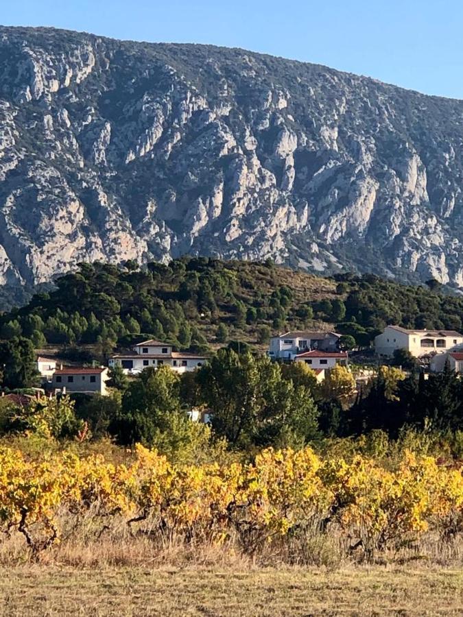 Domaine Mas Terra Bed & Breakfast Saint-Paul-de-Fenouillet Dış mekan fotoğraf