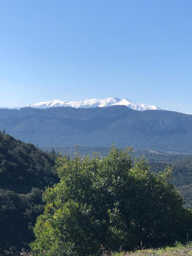 Domaine Mas Terra Bed & Breakfast Saint-Paul-de-Fenouillet Dış mekan fotoğraf