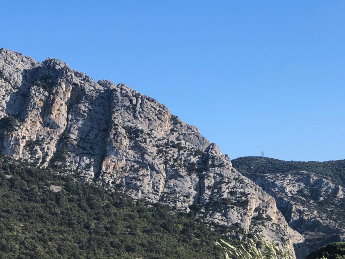 Domaine Mas Terra Bed & Breakfast Saint-Paul-de-Fenouillet Dış mekan fotoğraf