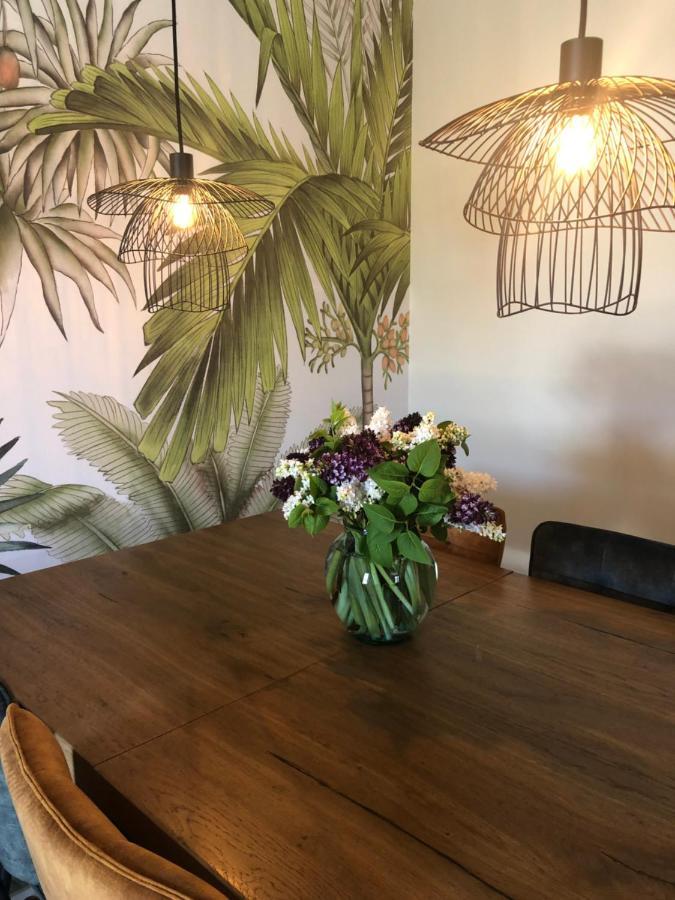 Domaine Mas Terra Bed & Breakfast Saint-Paul-de-Fenouillet Dış mekan fotoğraf