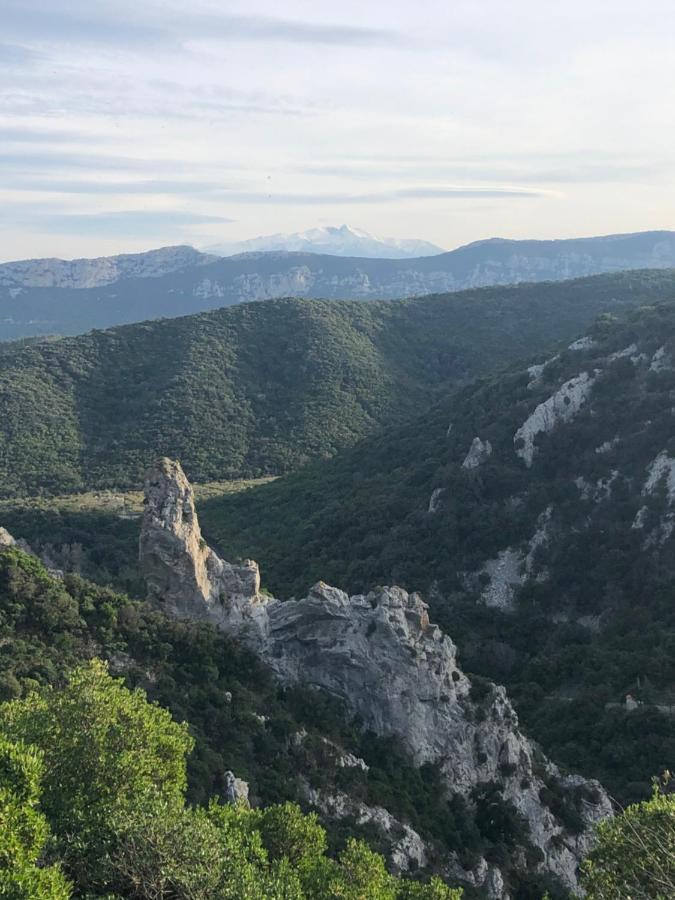 Domaine Mas Terra Bed & Breakfast Saint-Paul-de-Fenouillet Dış mekan fotoğraf