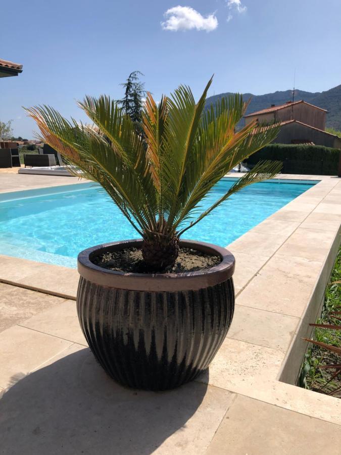 Domaine Mas Terra Bed & Breakfast Saint-Paul-de-Fenouillet Dış mekan fotoğraf