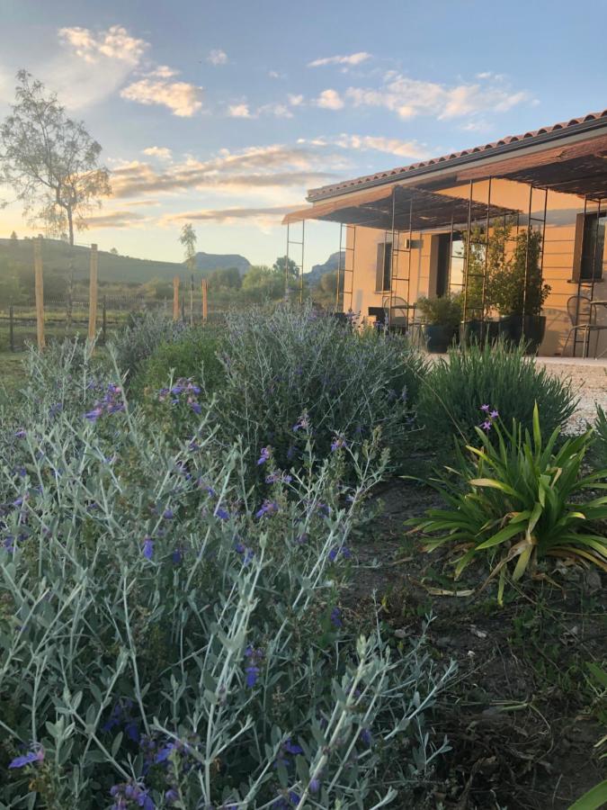 Domaine Mas Terra Bed & Breakfast Saint-Paul-de-Fenouillet Dış mekan fotoğraf