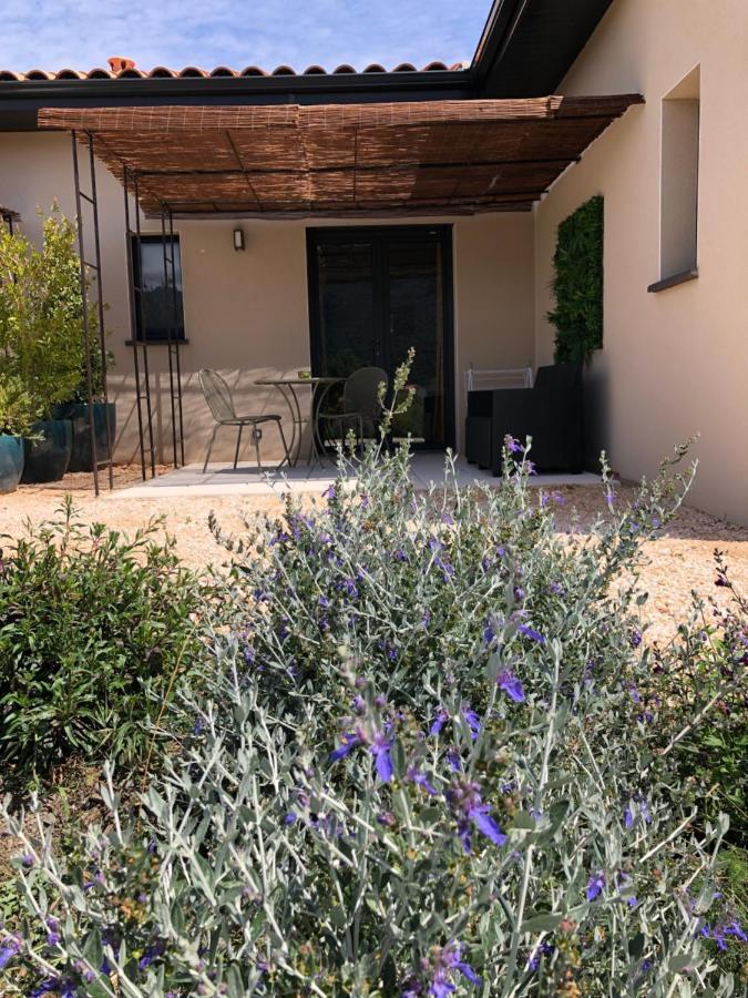 Domaine Mas Terra Bed & Breakfast Saint-Paul-de-Fenouillet Dış mekan fotoğraf